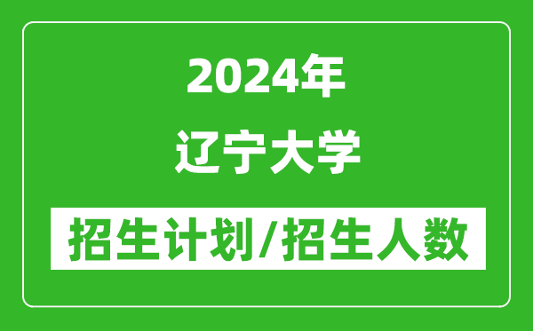 2024年辽宁大学各省招生计划及各专业招生人数是多少