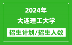 2024年大连理工大学各省招生计划及各专业招生人数是多少？