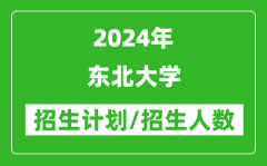 2024年东北大学各省招生计划及各专业招生人数是多少？