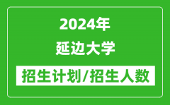 2024年延边大学各省招生计划及各专业招生人数是多少？