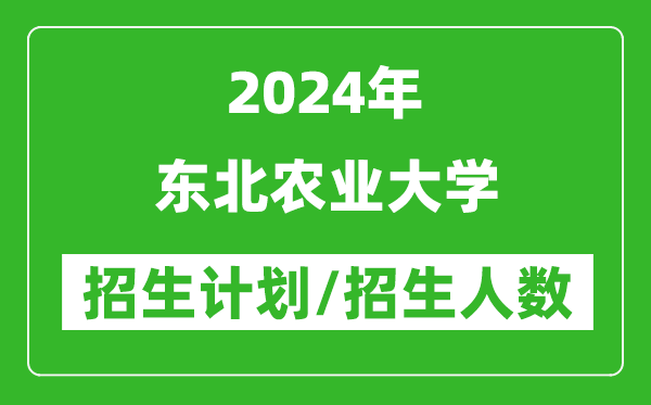 2024年东北农业大学各省招生计划及各专业招生人数是多少