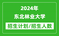 2024年东北林业大学各省招生计划及各专业招生人数是多少？