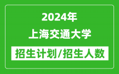 2024年上海交通大学各省招生计划及各专业招生人数是多少？