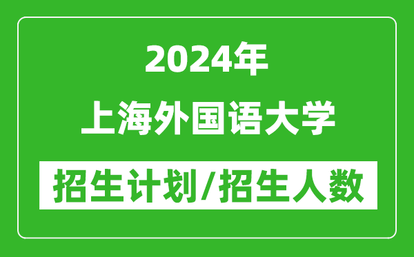 2024年上海外国语大学各省招生计划及各专业招生人数是多少