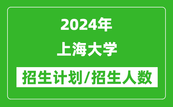 2024年上海大学各省招生计划及各专业招生人数是多少