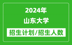 2024年山东大学各省招生计划及各专业招生人数是多少？