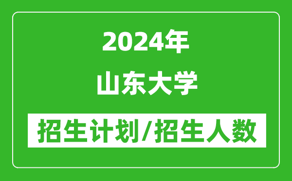 2024年山东大学各省招生计划及各专业招生人数是多少