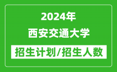 2024年西安交通大学各省招生计划及各专业招生人数是多少？