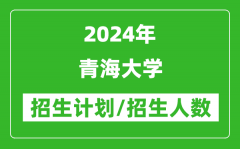 2024年青海大学各省招生计划及各专业招生人数是多少？