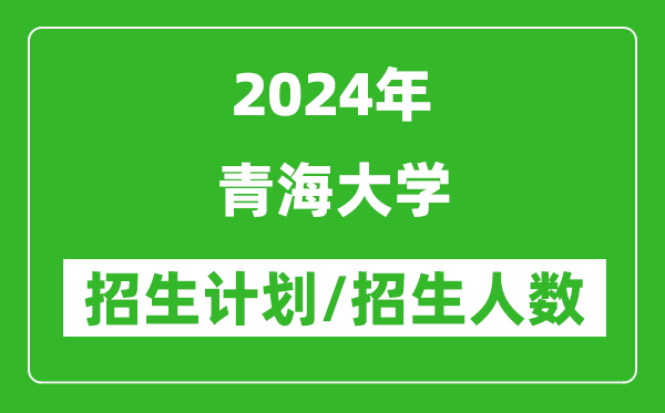 2024年青海大学各省招生计划及各专业招生人数是多少