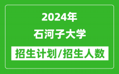 2024年石河子大学各省招生计划及各专业招生人数是多少？