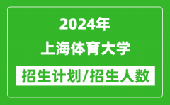 2024年上海体育大学各省招生计划及各专业招生人数是多少？