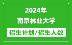 2024年南京林业大学各省招生计划及各专业招生人数是多少？