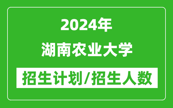 2024年湖南农业大学各省招生计划及各专业招生人数是多少