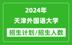 2024年天津外国语大学各省招生计划及各专业招生人数是多少？