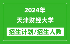 2024年天津财经大学各省招生计划及各专业招生人数是多少？