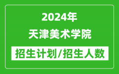 2024年天津美术学院各省招生计划及各专业招生人数是多少？