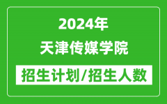 2024年天津传媒学院各省招生计划及各专业招生人数是多少？