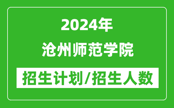 2024年沧州师范学院各省招生计划及各专业招生人数是多少