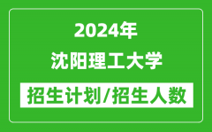 2024年沈阳理工大学各省招生计划及各专业招生人数是多少？