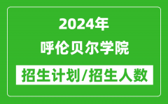 2024年呼伦贝尔学院各省招生计划及各专业招生人数是多少？