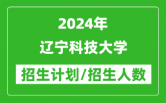 2024年辽宁科技大学各省招生计划及各专业招生人数是多少？