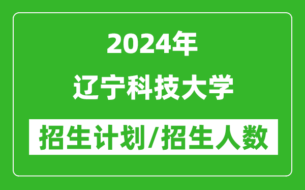 2024年辽宁科技大学各省招生计划及各专业招生人数是多少