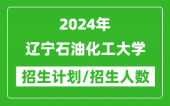 2024年辽宁石油化工大学各省招生计划及各专业招生人数是多少？