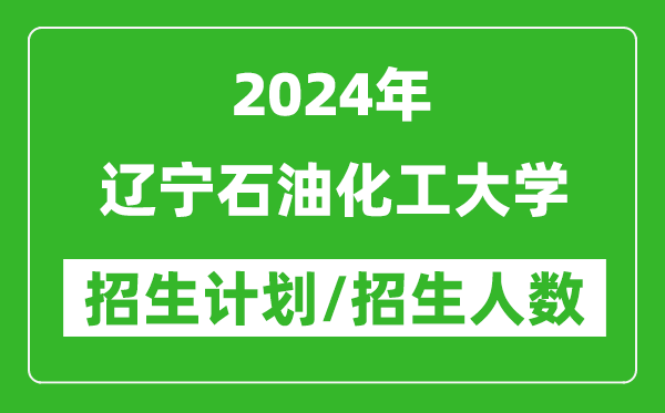 2024年辽宁石油化工大学各省招生计划及各专业招生人数是多少