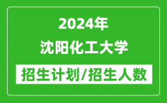 2024年沈阳化工大学各省招生计划及各专业招生人数是多少？