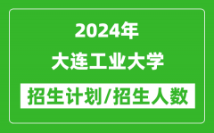 2024年大连工业大学各省招生计划及各专业招生人数是多少？