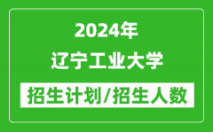 2024年辽宁工业大学各省招生计划及各专业招生人数是多少？