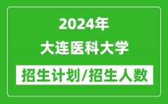 2024年大连医科大学各省招生计划及各专业招生人数是多少？