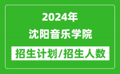 2024年沈阳音乐学院各省招生计划及各专业招生人数是多少？