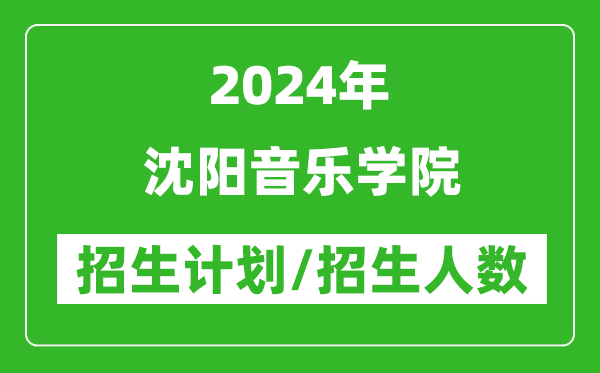 2024年沈阳音乐学院各省招生计划及各专业招生人数是多少