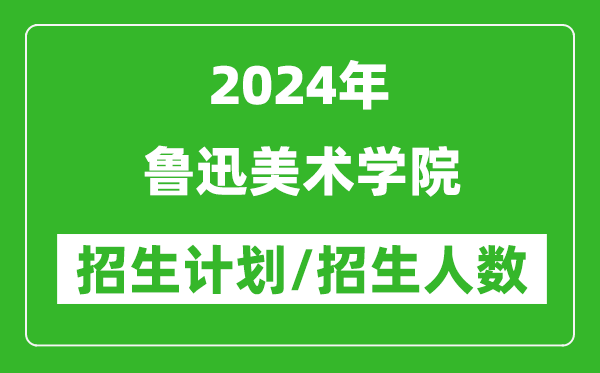 2024年鲁迅美术学院各省招生计划及各专业招生人数是多少