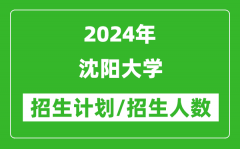 2024年沈阳大学各省招生计划及各专业招生人数是多少？