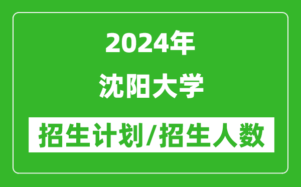 2024年沈阳大学各省招生计划及各专业招生人数是多少