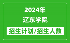 2024年辽东学院各省招生计划及各专业招生人数是多少？
