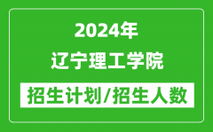 2024年辽宁理工学院各省招生计划及各专业招生人数是多少？