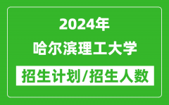 2024年哈尔滨理工大学各省招生计划及各专业招生人数是多少？