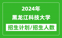 2024年黑龙江科技大学各省招生计划及各专业招生人数是多少？