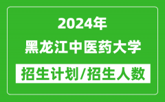 2024年黑龙江中医药大学各省招生计划及各专业招生人数是多少？