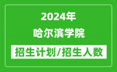 2024年哈尔滨学院各省招生计划及各专业招生人数是多少？