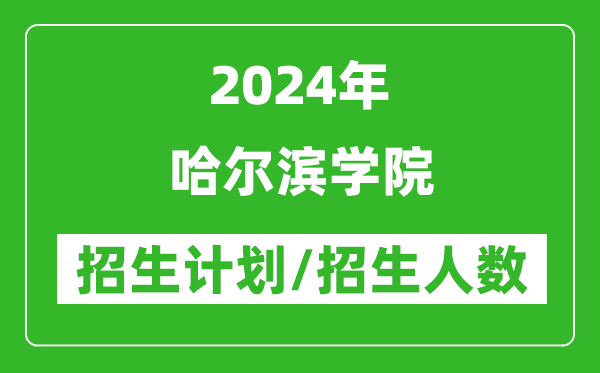 2024年哈尔滨学院各省招生计划及各专业招生人数是多少