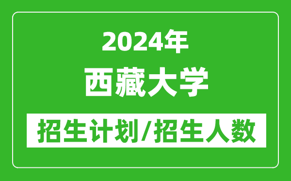 2024年西藏大学各省招生计划及各专业招生人数是多少