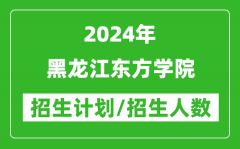 2024年黑龙江东方学院各省招生计划及各专业招生人数是多少？