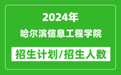 2024年哈尔滨信息工程学院各省招生计划及各专业招生人数是多少？