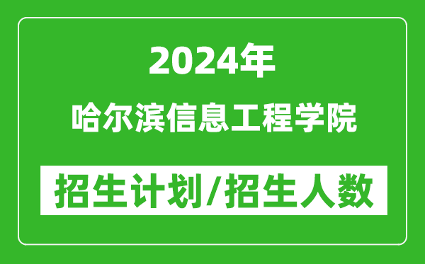 2024年哈尔滨信息工程学院各省招生计划及各专业招生人数是多少