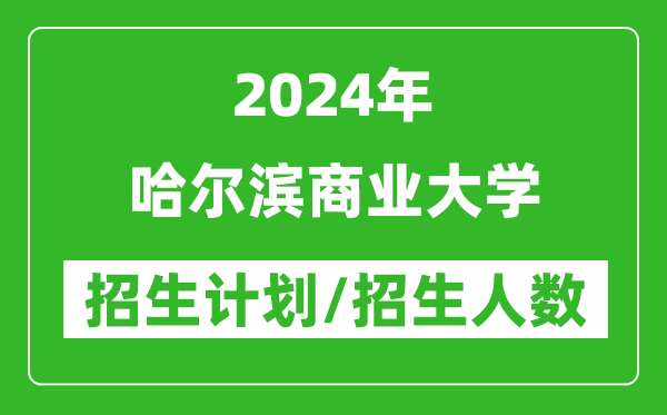 2024年哈尔滨商业大学各省招生计划及各专业招生人数是多少